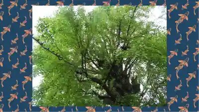 飛木稲荷神社(東京都)