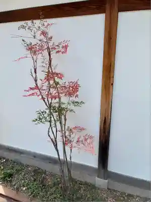 宝菩提院(京都府)