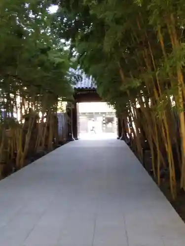 梅窓院の山門・神門