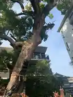 楠玉龍神のその他建物