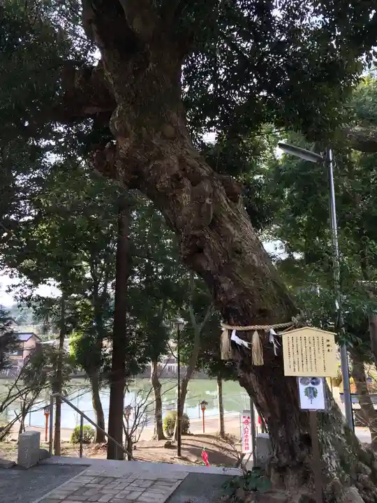 戸明神社(福岡県)