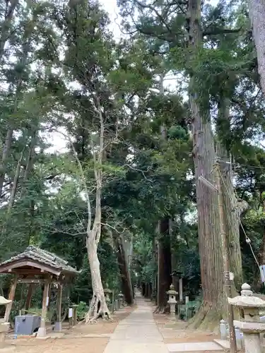 日吉神社(千葉県)