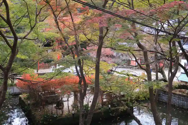 談山神社の自然