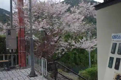 熊野那智大社(和歌山県)