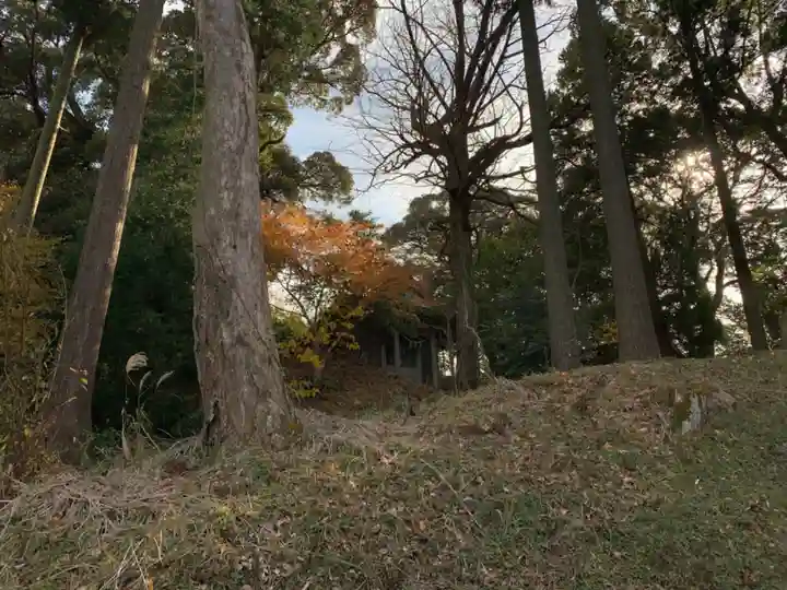 熊野神社の自然