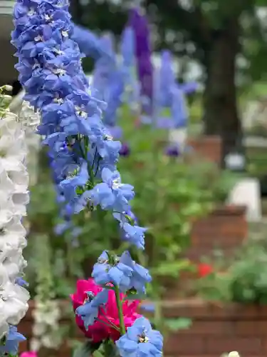 曽我浅間神社の自然