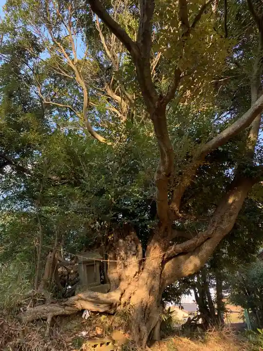 八幡神社(千葉県)