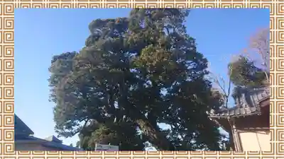 九重神社(埼玉県)