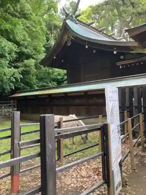 平塚八幡宮(神奈川県)