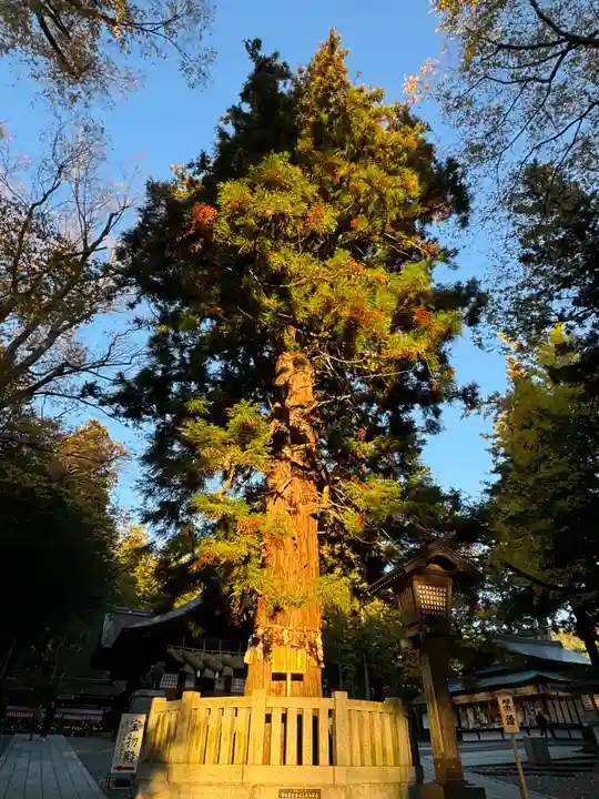 諏訪大社下社秋宮(長野県)