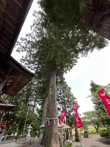 高司神社〜むすびの神の鎮まる社〜(福島県)