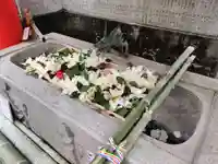 徳島眉山天神社の手水舎