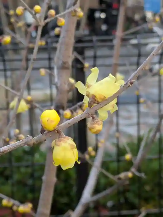 靍護稲荷神社(東京都)