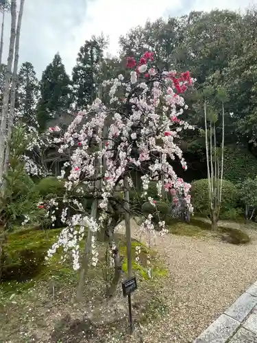 霊山寺(奈良県)