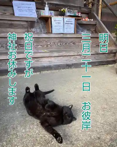 高司神社〜むすびの神の鎮まる社〜の動物