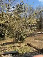 糀谷八幡宮の自然