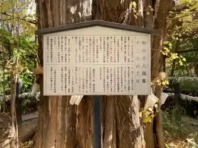 稲毛神社(神奈川県)