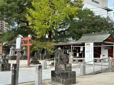 佐嘉神社・松原神社(佐賀県)