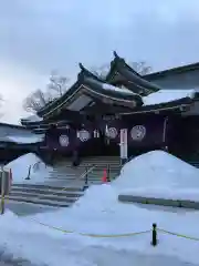 札幌護國神社の初詣