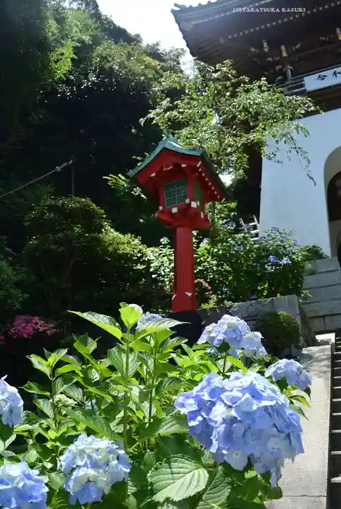 江島神社(神奈川県)