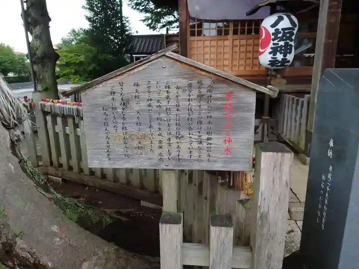 守谷総鎮守 八坂神社(茨城県)
