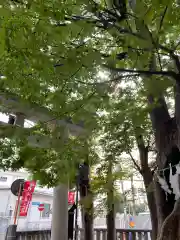 戸部杉山神社の鳥居