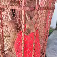 戸越伏見稲荷神社(東京都)