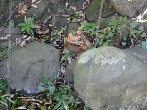 白笹稲荷神社の狛犬