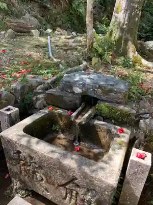 月読神社（松尾大社摂社）の手水舎