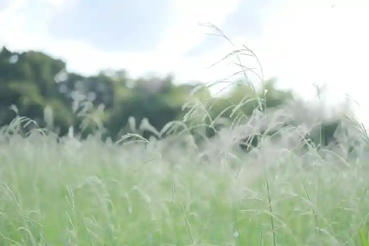 大安寺(奈良県)