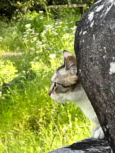 上伊那招魂社(長野県)