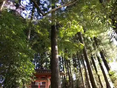 白山神社のその他建物