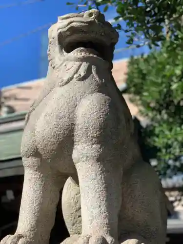 金刀比羅大鷲神社の狛犬