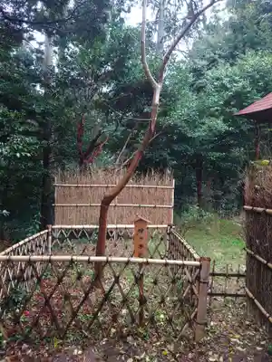 矢奈比賣神社（見付天神）(静岡県)