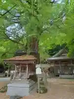 正法寺(滋賀県)