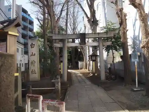 荻窪白山神社の鳥居