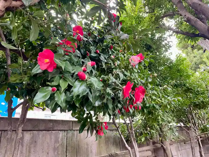 蓮乗寺(東京都)