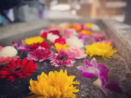 札幌諏訪神社の手水舎