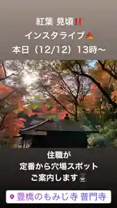 普門寺(切り絵御朱印発祥の寺)(愛知県)(2020年12月12日(土) 10時43分28秒投稿)