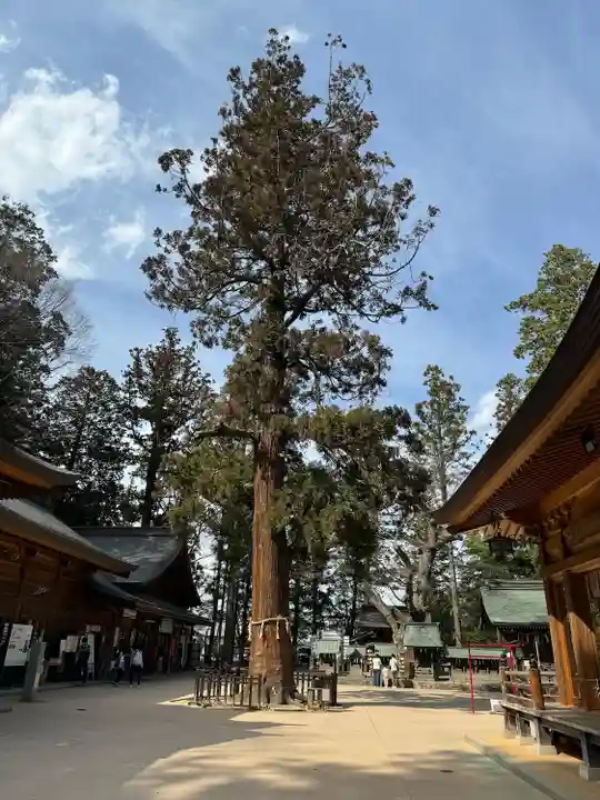 穂高神社本宮(長野県)