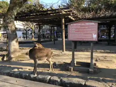 厳島神社(広島県)