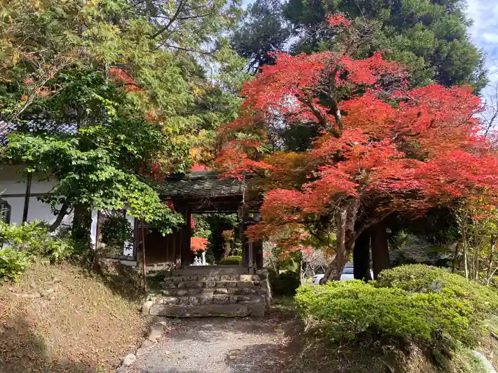 安国寺(京都府)