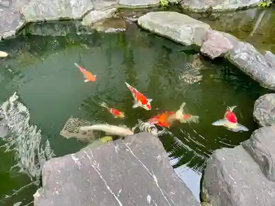 甚行寺(神奈川県)