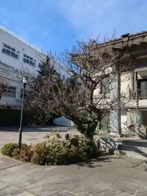 西岸寺(東京都)