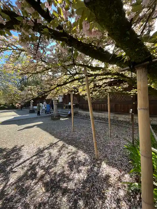 平野神社(京都府)