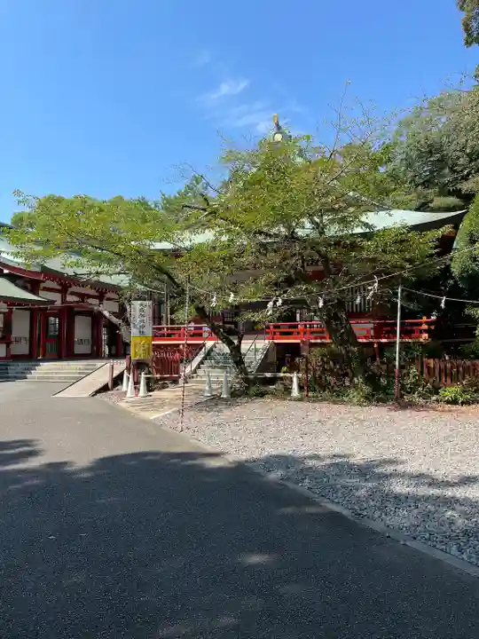 静岡浅間神社(静岡県)