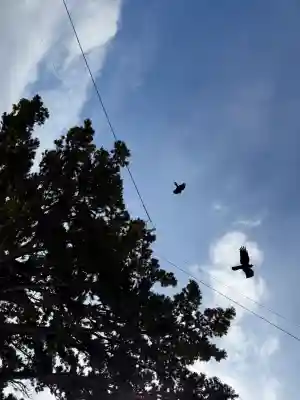 厳島神社の{uncategorized: "未分類", other: "その他", undefined: "問題あり", building: "その他建物", grave: "お墓", sacred_gate: "鳥居", guardian: "狛犬", statue: "像", buddha: "仏像", history: "歴史", nature: "自然", garden: "庭園", animal: "動物", pagoda: "塔", temizu: "手水舎", mountain_gate: "山門・神門", sanctuary: "本殿・本堂", subordinate: "末社・摂社", art: "芸術", scenery: "景色", jizo: "地蔵", ema: "絵馬", goshuin: "御朱印", omikuji: "おみくじ", items: "授与品その他", amulet: "お守り", goshuincho: "御朱印帳", eats: "食事", festival: "お祭り", votive_dance: "神楽", shichigosan: "七五三参", wedding: "結婚式", experience: "体験その他", initially: "初詣", around: "周辺", anti_infection: "感染症対策"}