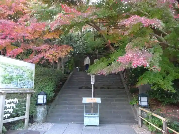 長谷寺のその他建物