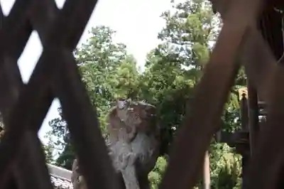 沙沙貴神社(滋賀県)
