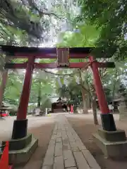 氷川女體神社の鳥居